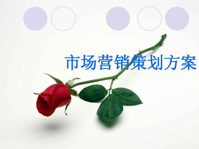 黑弧奧美提案 超市商品分類、旅游市場營銷與企業形象策劃整合方案