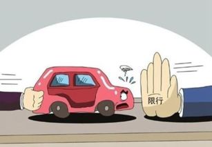 達沃斯期間道路貨運車輛限行通告 保障會議順暢，優(yōu)化城市交通